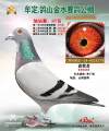 图片暂时未上传