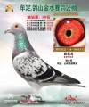 图片暂时未上传
