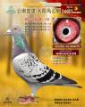 图片暂时未上传