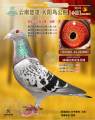 图片暂时未上传