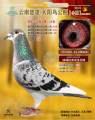 图片暂时未上传