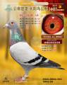 图片暂时未上传
