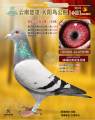 图片暂时未上传