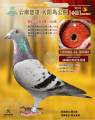 图片暂时未上传