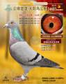图片暂时未上传