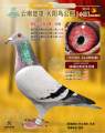 图片暂时未上传