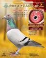 图片暂时未上传