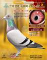 图片暂时未上传