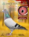 图片暂时未上传