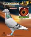 图片暂时未上传