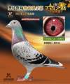图片暂时未上传