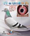 图片暂时未上传