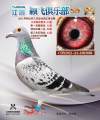 图片暂时未上传