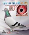 图片暂时未上传