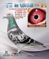 图片暂时未上传