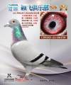 图片暂时未上传