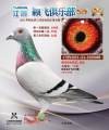 图片暂时未上传