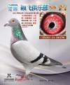 图片暂时未上传