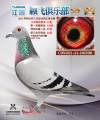 图片暂时未上传