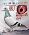 图片暂时未上传