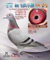 图片暂时未上传