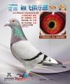 图片暂时未上传