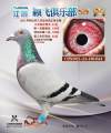 图片暂时未上传