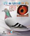 图片暂时未上传