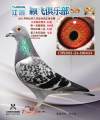 图片暂时未上传