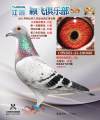 图片暂时未上传