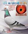 图片暂时未上传