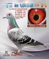 图片暂时未上传