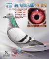 图片暂时未上传