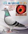 图片暂时未上传