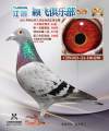 图片暂时未上传