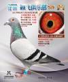 图片暂时未上传