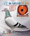 图片暂时未上传
