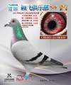 图片暂时未上传