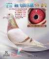 图片暂时未上传