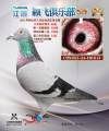 图片暂时未上传
