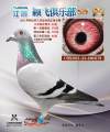 图片暂时未上传