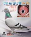 图片暂时未上传