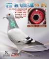 图片暂时未上传