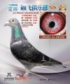 图片暂时未上传