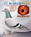 图片暂时未上传