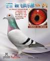 图片暂时未上传