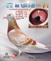 图片暂时未上传