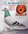 图片暂时未上传