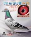 图片暂时未上传