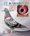 图片暂时未上传